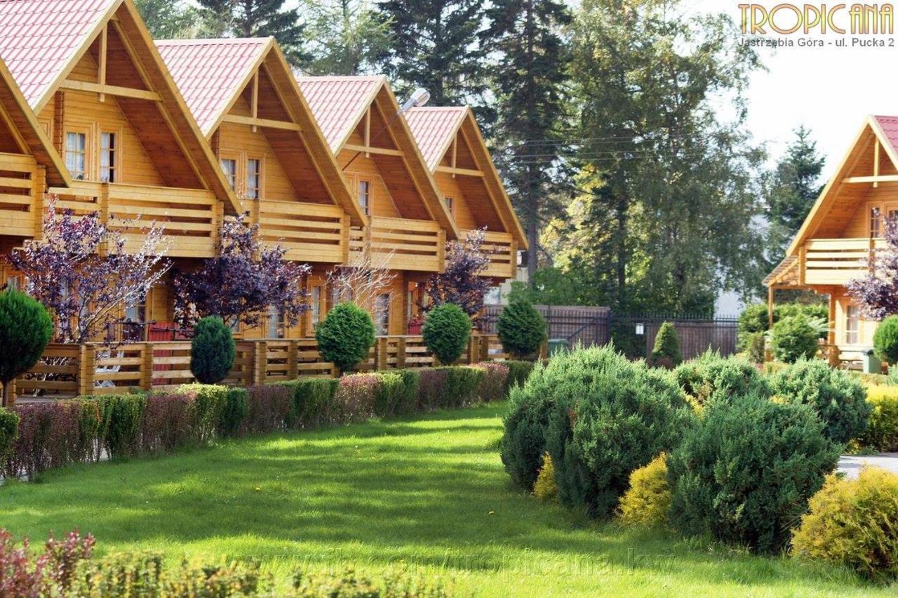 Tropicana Ϫϫ Jastrzębia Góra エクステリア 写真